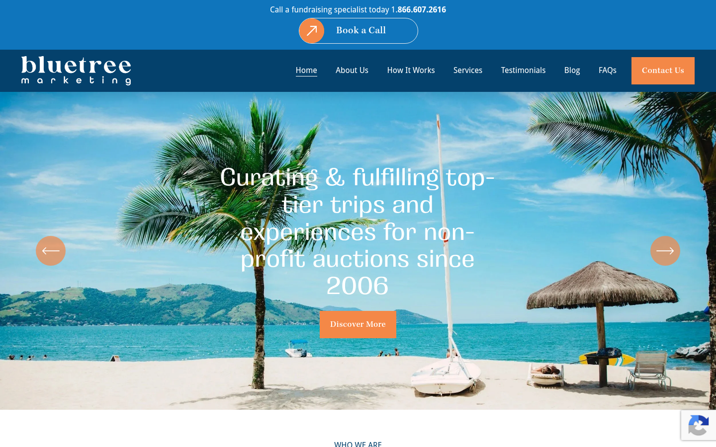 BlueTree Marketing homepage